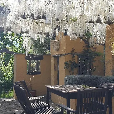 Cortijo Opazo *